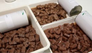 Professionelle Produktionslinie / Maschinen für Tiernahrung