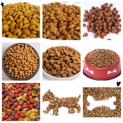 201 Edelstahl-Full-Automatische Maschine zur Herstellung von Tiernahrung, Hundenahrung Extrudermaschine