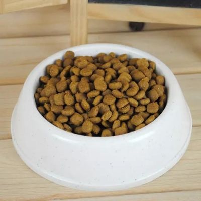 100 kg/h Hunde-Trockenfutter-Pelletmaschine