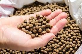 Maschinen für die automatische Verarbeitung von Fischfutterpellets