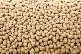 1-2 Tonnen/Std. Geflügelfutter Produktionslinie  Fischfutter Produktionsmaschinen