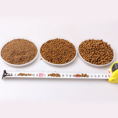 SUS 304 Schwimmende Fischfuttermaschine mit verschiedenen Formen